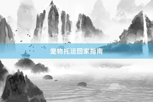 宠物托运回家指南