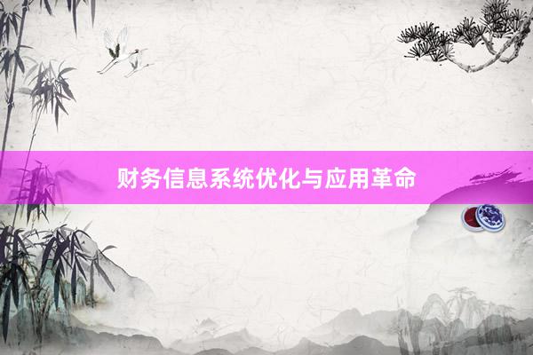 财务信息系统优化与应用革命