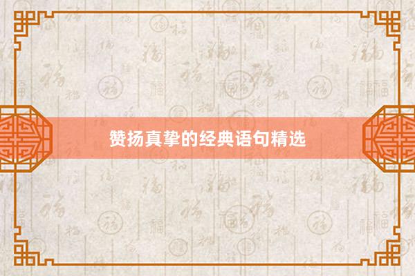 赞扬真挚的经典语句精选